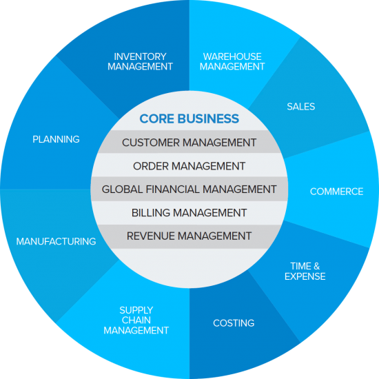 NetSuite ERP Software Solutions for Manufacturing Companies